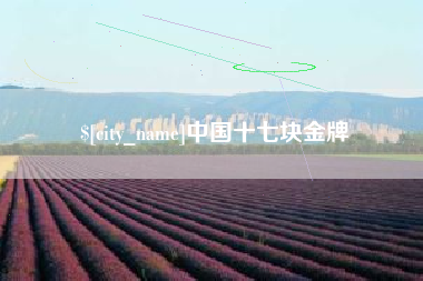 永州中国十七块金牌