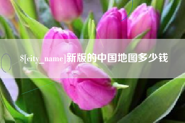 永州新版的中国地图多少钱