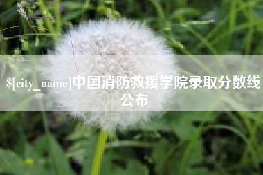 永州中国消防救援学院录取分数线公布
