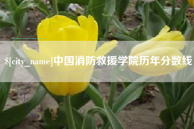 永州中国消防救援学院历年分数线