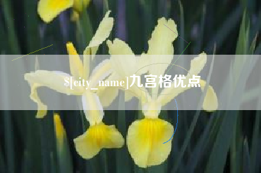 永州九宫格优点