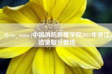 永州中国消防救援学院2021年浙江省录取分数线