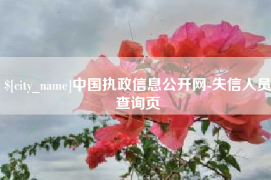 永州中国执政信息公开网-失信人员查询页