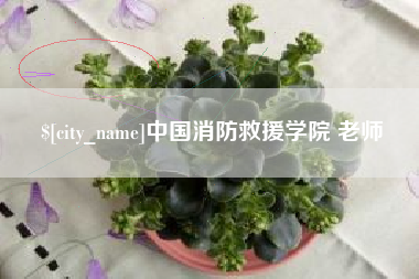 永州中国消防救援学院 老师