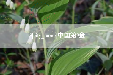 永州中国第9金