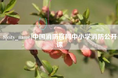 永州中国消防官网中小学消防公开课