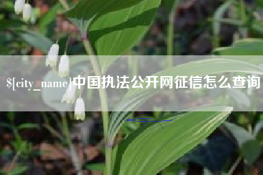 永州中国执法公开网征信怎么查询