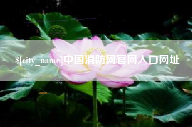 永州中国消防网官网入口网址