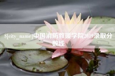 永州中国消防救援学院2019录取分数线