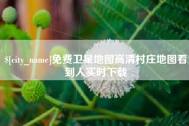 永州免费卫星地图高清村庄地图看到人实时下载