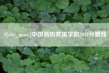 永州中国消防救援学院2018分数线