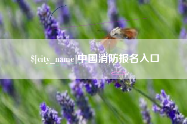 永州中国消防报名入口