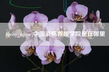 永州中国消防救援学院是在哪里