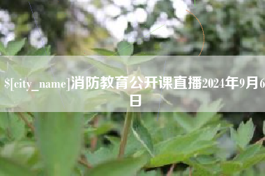 永州消防教育公开课直播2024年9月6日