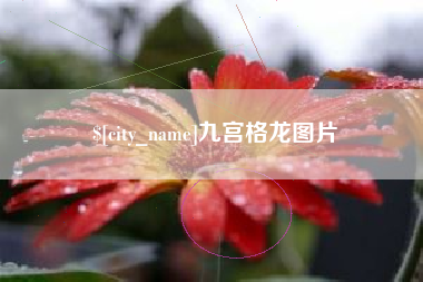 永州九宫格龙图片