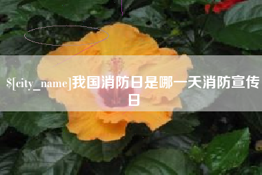 永州我国消防日是哪一天消防宣传日
