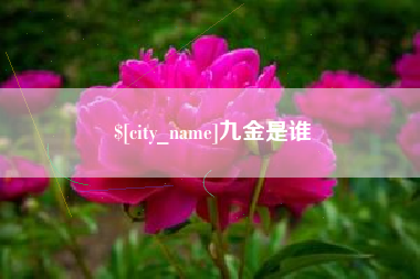 永州九金是谁