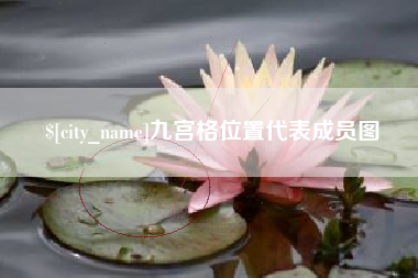 永州九宫格位置代表成员图