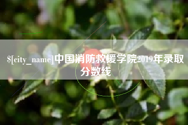 永州中国消防救援学院2019年录取分数线