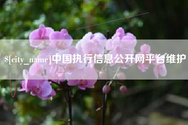 永州中国执行信息公开网平台维护