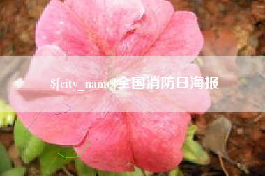 永州全国消防日海报