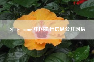 永州中国执行信息公开网后