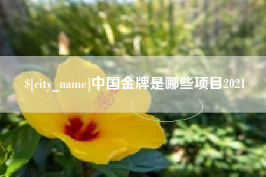 永州中国金牌是哪些项目2021