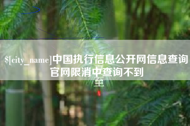 永州中国执行信息公开网信息查询官网限消中查询不到