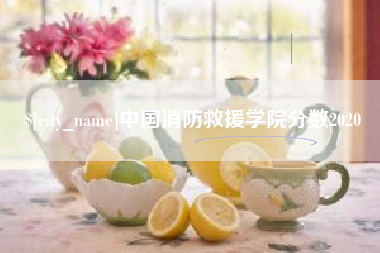 永州中国消防救援学院分数2020