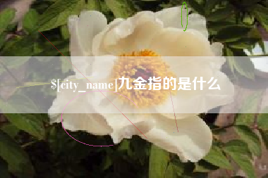 永州九金指的是什么