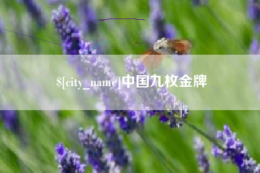 永州中国九枚金牌