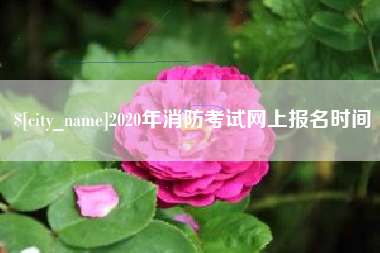 永州2020年消防考试网上报名时间