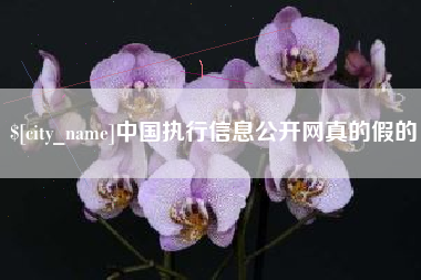 永州中国执行信息公开网真的假的