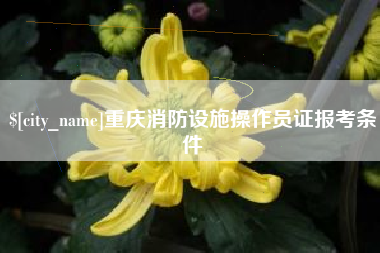 永州重庆消防设施操作员证报考条件