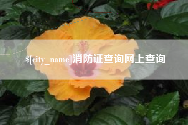 永州消防证查询网上查询