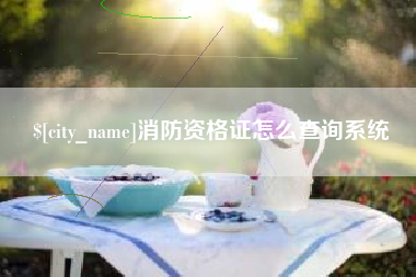 永州消防资格证怎么查询系统