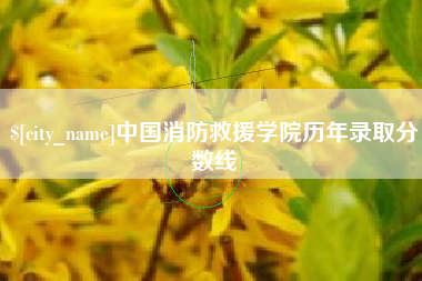永州中国消防救援学院历年录取分数线