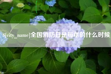 永州全国消防日是每年的什么时候