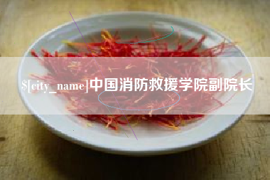 永州中国消防救援学院副院长