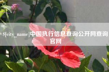 永州中国执行信息查询公开网查询官网