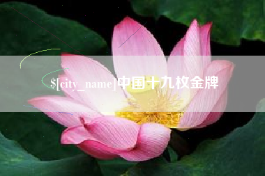永州中国十九枚金牌