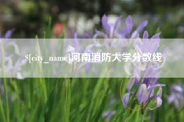 永州河南消防大学分数线