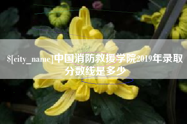 永州中国消防救援学院2019年录取分数线是多少
