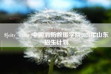 永州中国消防救援学院2021年山东招生计划