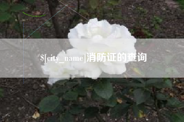 永州消防证的查询