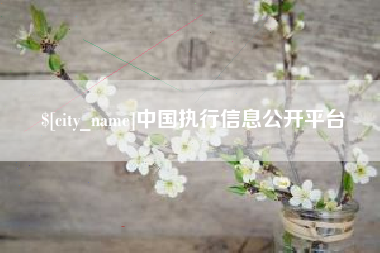 永州中国执行信息公开平台