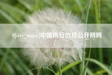 永州中国执行信息公开网网