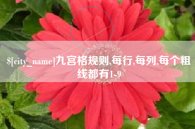 永州九宫格规则,每行,每列,每个粗线都有1-9