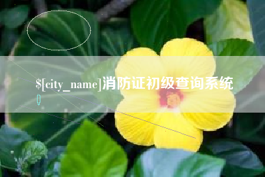 永州消防证初级查询系统