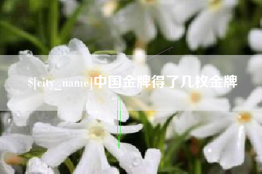 永州中国金牌得了几枚金牌